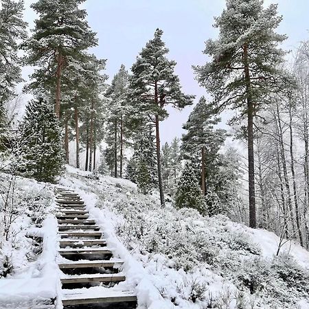 Villa Laidike With Sauna/Fireplace, 80 Km Helsinki Suomusjarvi Exteriér fotografie